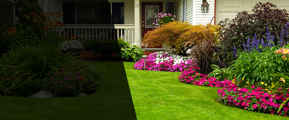 Holmdel Landscapers